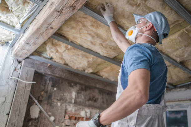 Best Commercial Insulation in Doniphan, MO