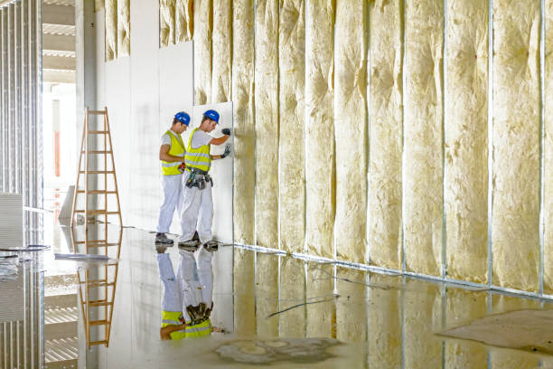 Best Residential Insulation in Doniphan, MO